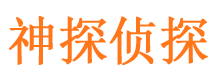 丰县侦探公司